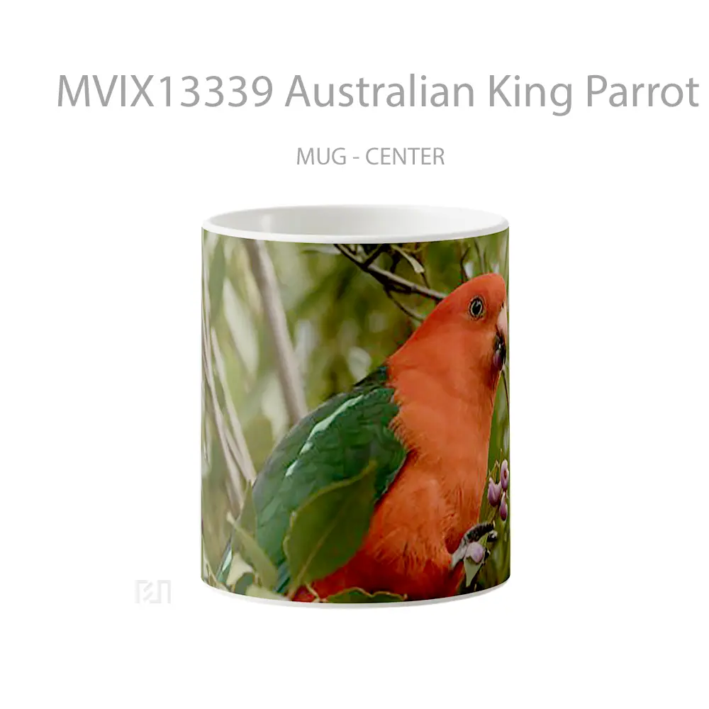 Mug Australian King Parrot Gelas Keramik Unik