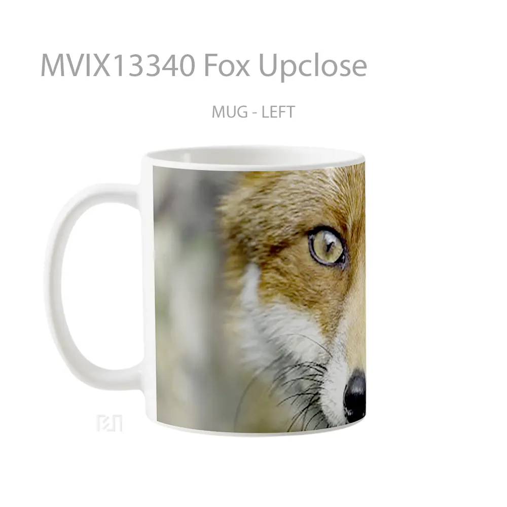 Mug Fox Upclose Gelas Hewan Lucu - All-side / Desain