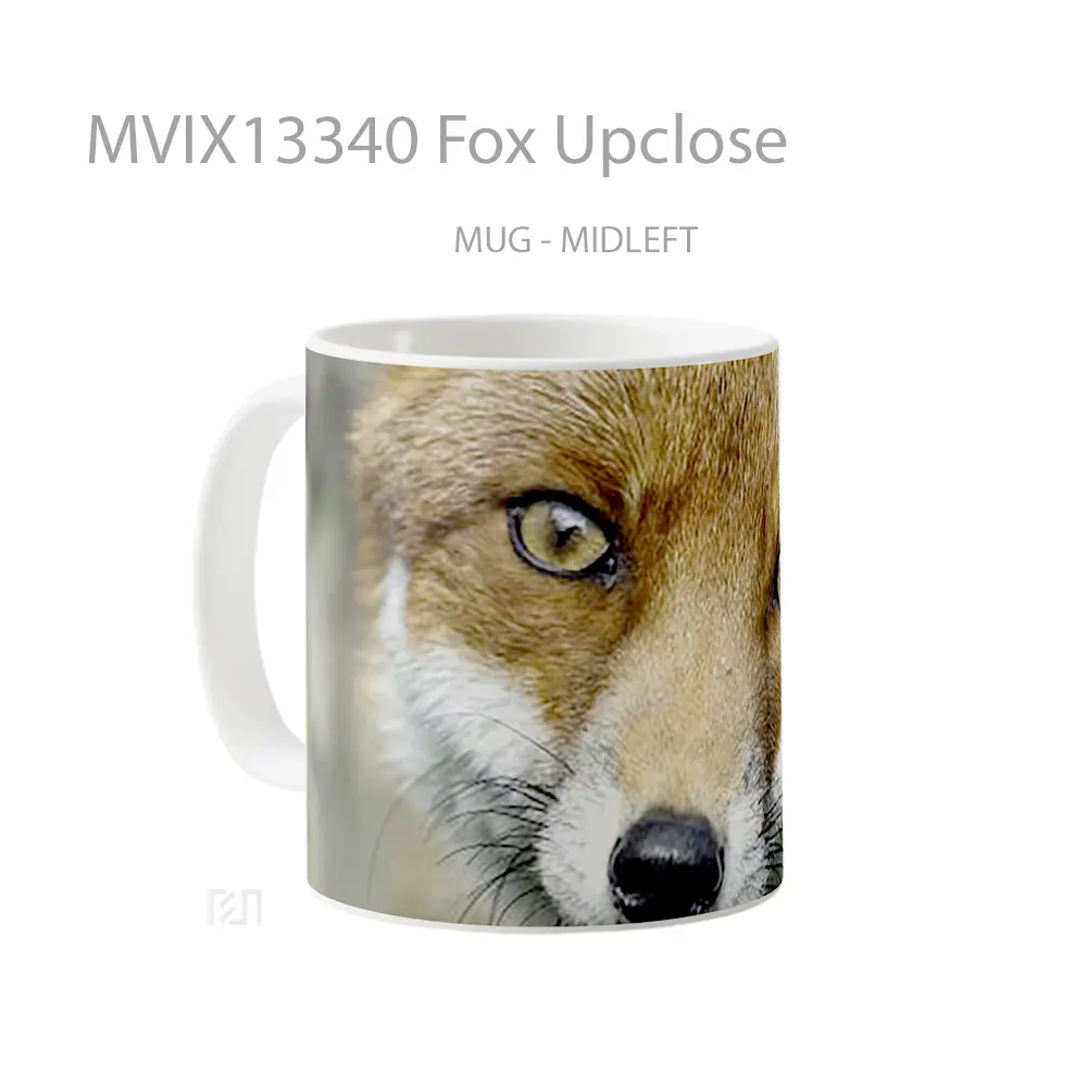 Mug Fox Upclose Gelas Hewan Lucu - All-side / Desain