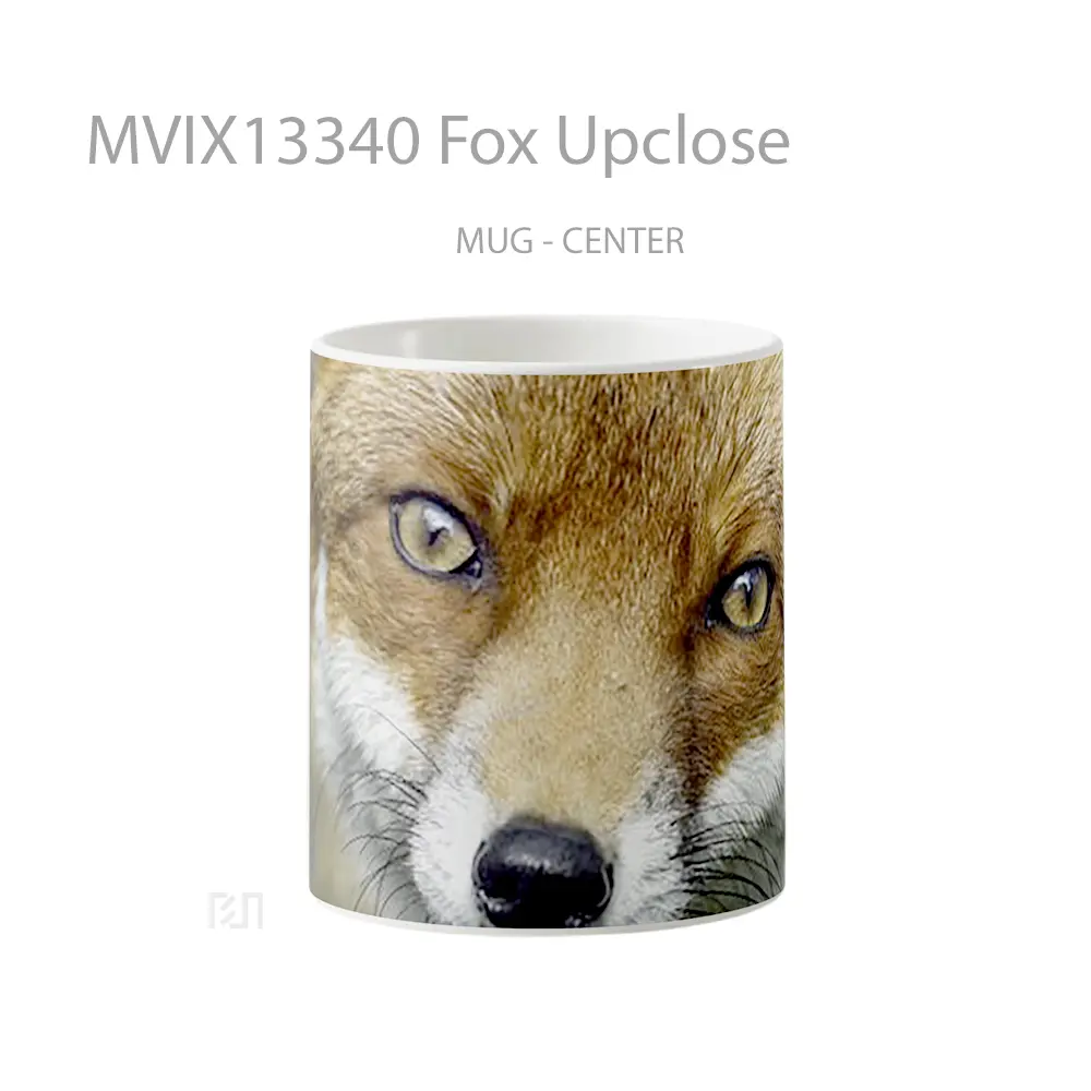 Mug Fox Upclose Gelas Hewan Lucu