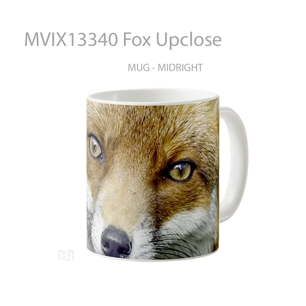 Mug Fox Upclose Gelas Hewan Lucu - All-side / Desain