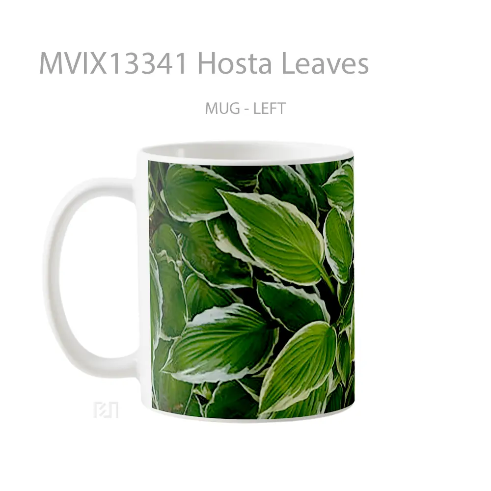 Mug Hosta Leaves Gelas Keramik Unik - All-side / Desain