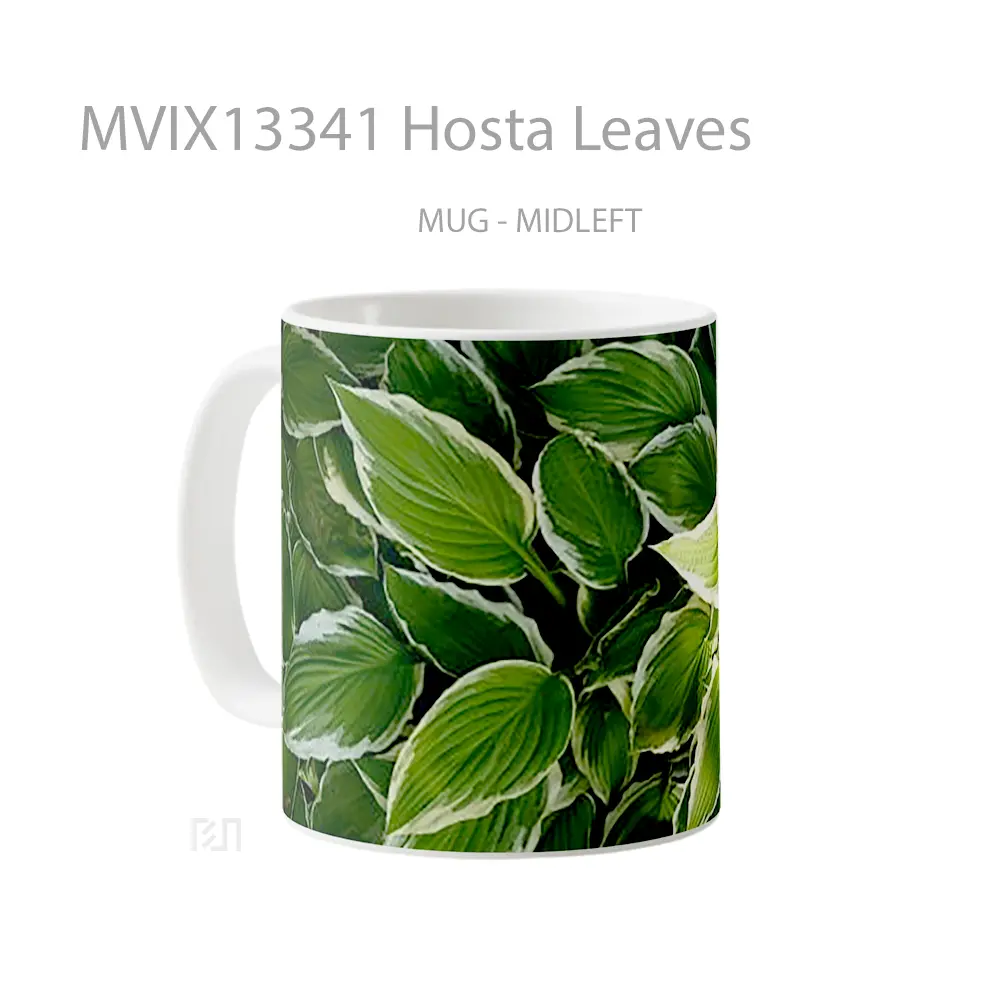 Mug Hosta Leaves Gelas Keramik Unik - All-side / Desain