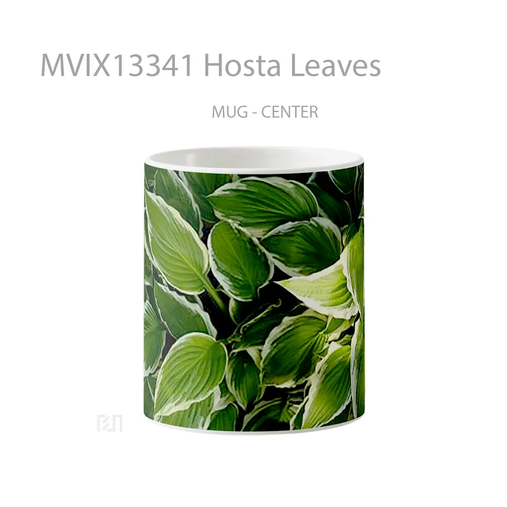 Mug Hosta Leaves Gelas Keramik Unik