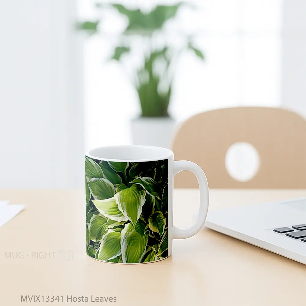 Mug Hosta Leaves Gelas Keramik Unik - All-side / Desain