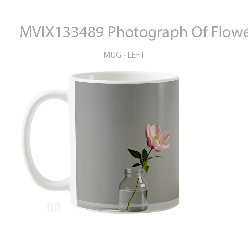 Mug Photograph Of Flowers In A Vase Against A Gray Background Gelas Pemandangan Alam - All-side / Desain