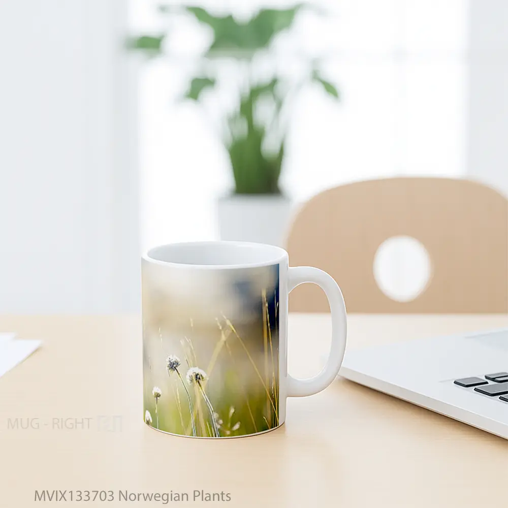 Mug Norwegian Plants Gelas Keramik Unik - All-side / Desain