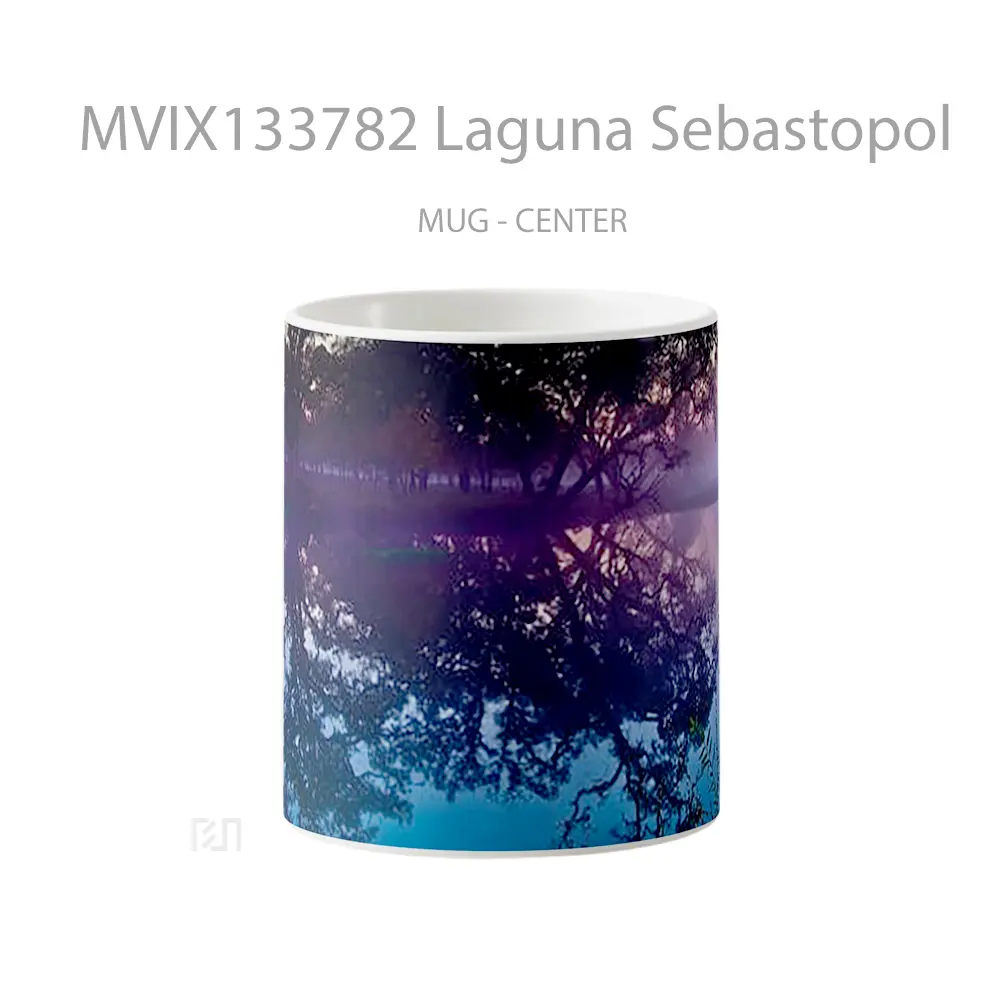 Mug Laguna Sebastopol Gelas Keramik Unik