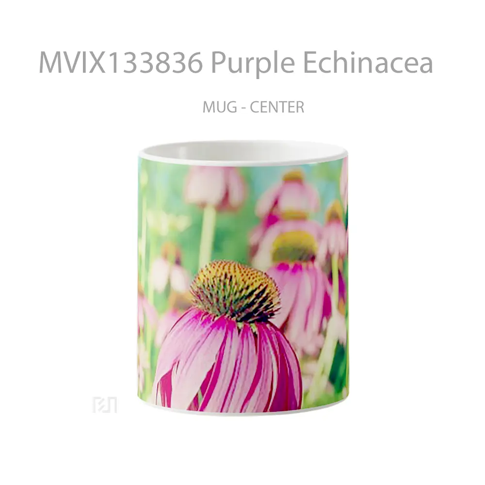 Mug Purple Echinacea Gelas Keramik Unik