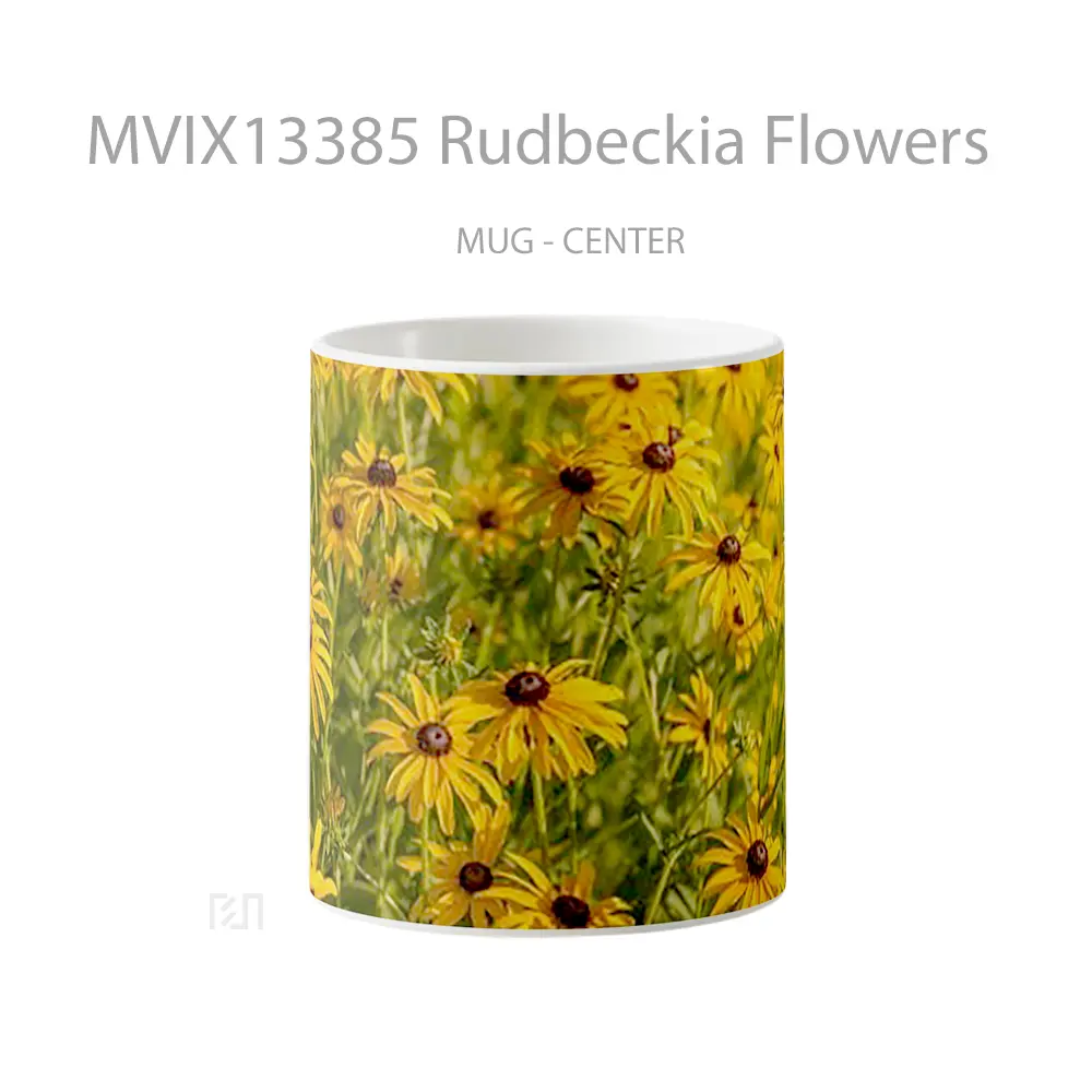 Mug Rudbeckia Flowers Gelas Pemandangan Alam