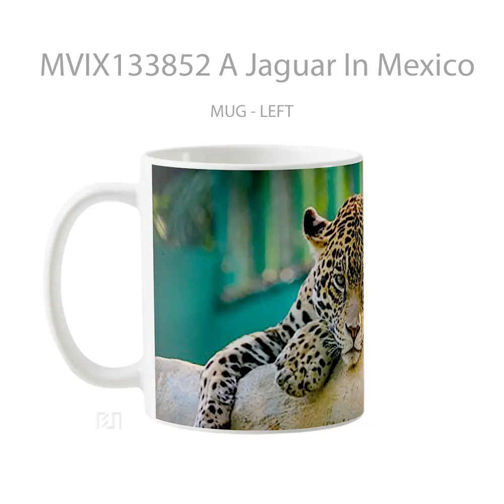 Mug A Jaguar In Mexico Gelas Keramik Unik - All-side / Desain