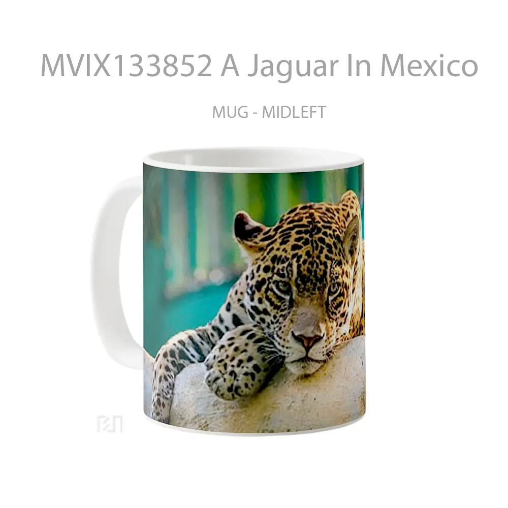 Mug A Jaguar In Mexico Gelas Keramik Unik - All-side / Desain