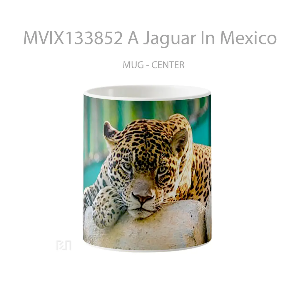 Mug A Jaguar In Mexico Gelas Keramik Unik