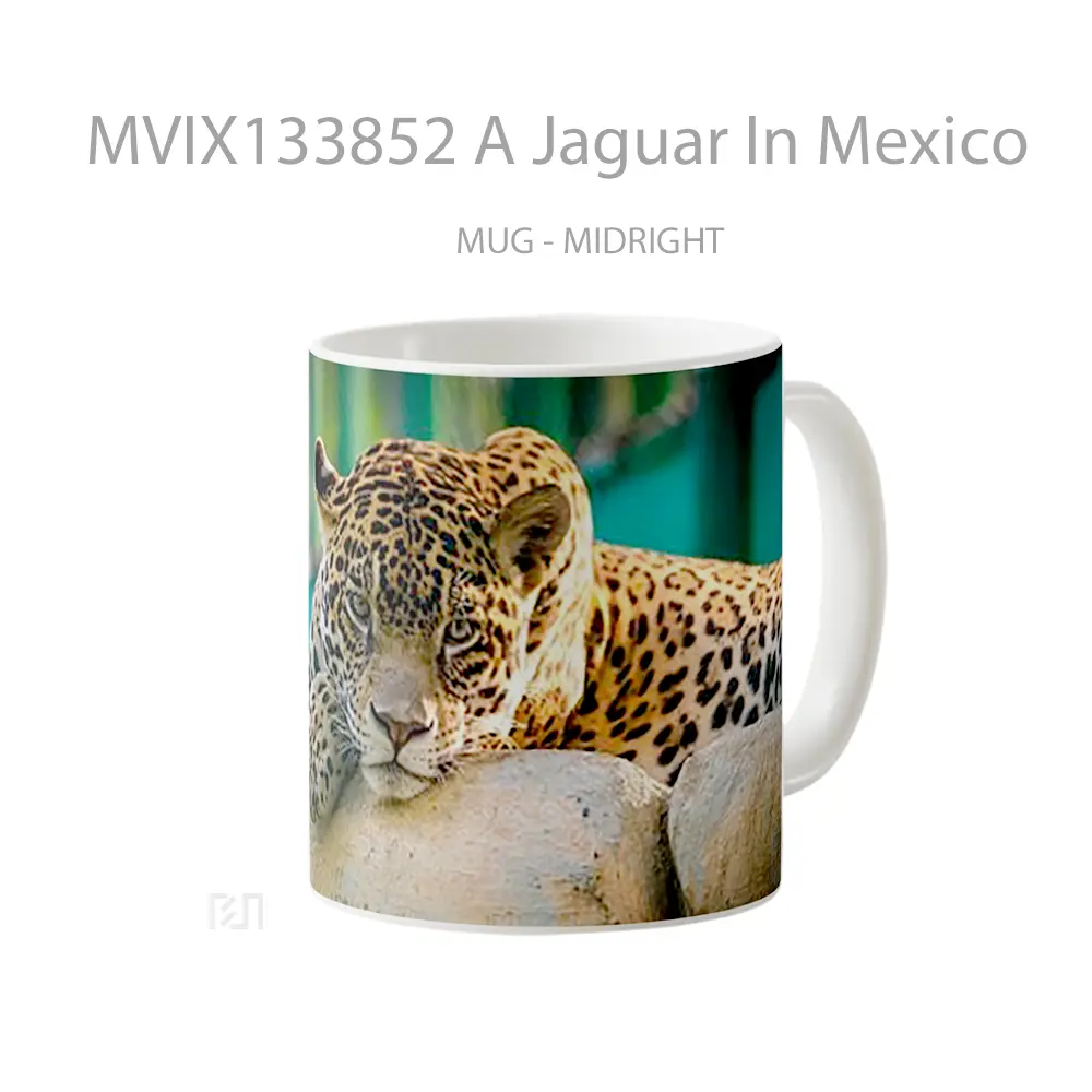 Mug A Jaguar In Mexico Gelas Keramik Unik - All-side / Desain