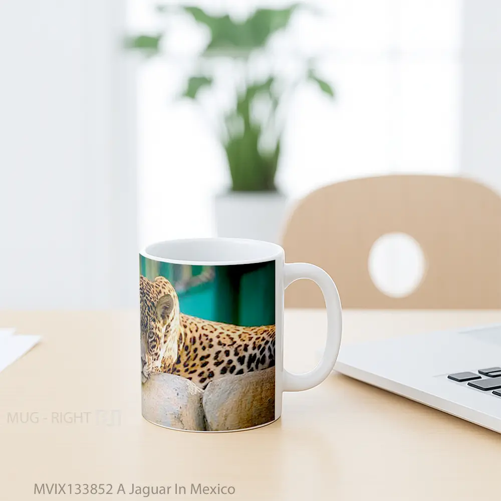 Mug A Jaguar In Mexico Gelas Keramik Unik - All-side / Desain