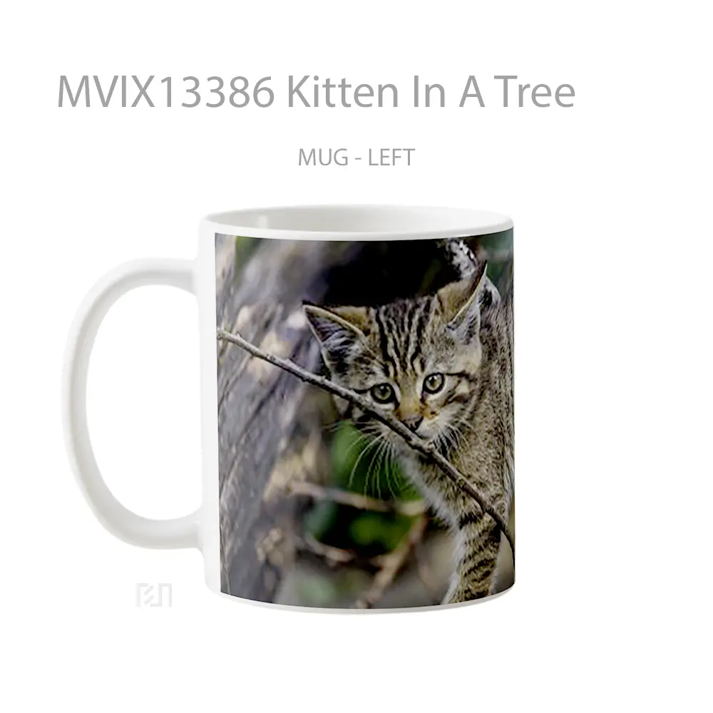 Mug Kitten In A Tree Gelas Hewan Lucu - All-side / Desain