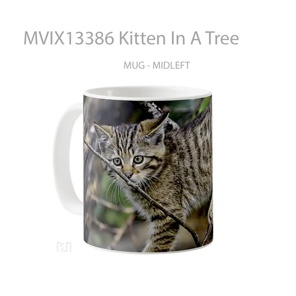 Mug Kitten In A Tree Gelas Hewan Lucu - All-side / Desain
