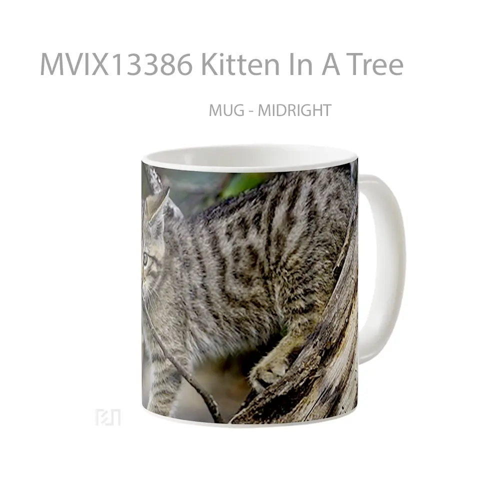 Mug Kitten In A Tree Gelas Hewan Lucu - All-side / Desain