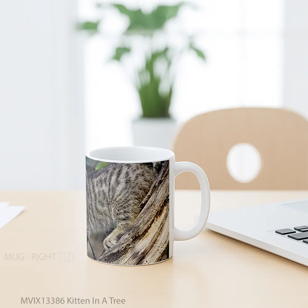 Mug Kitten In A Tree Gelas Hewan Lucu - All-side / Desain