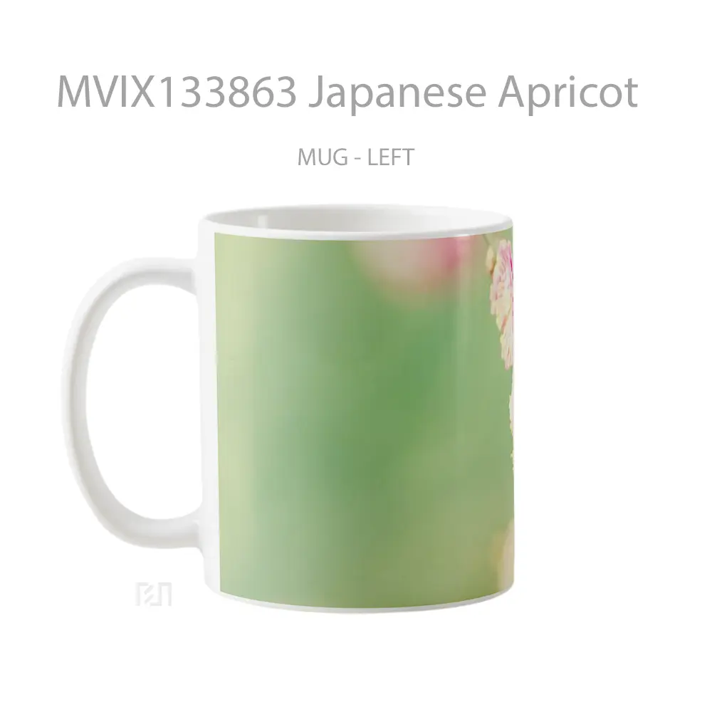 Mug Japanese Apricot Gelas Keramik Unik - All-side / Desain