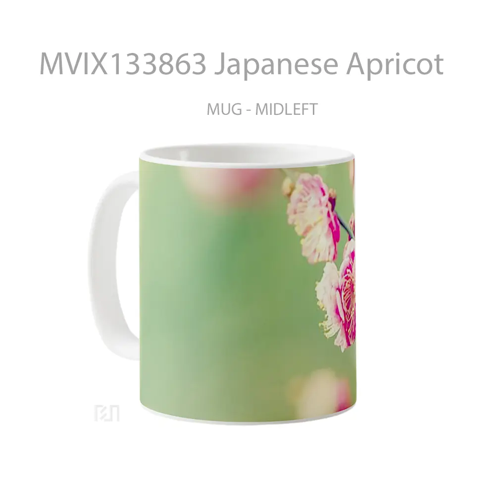 Mug Japanese Apricot Gelas Keramik Unik - All-side / Desain