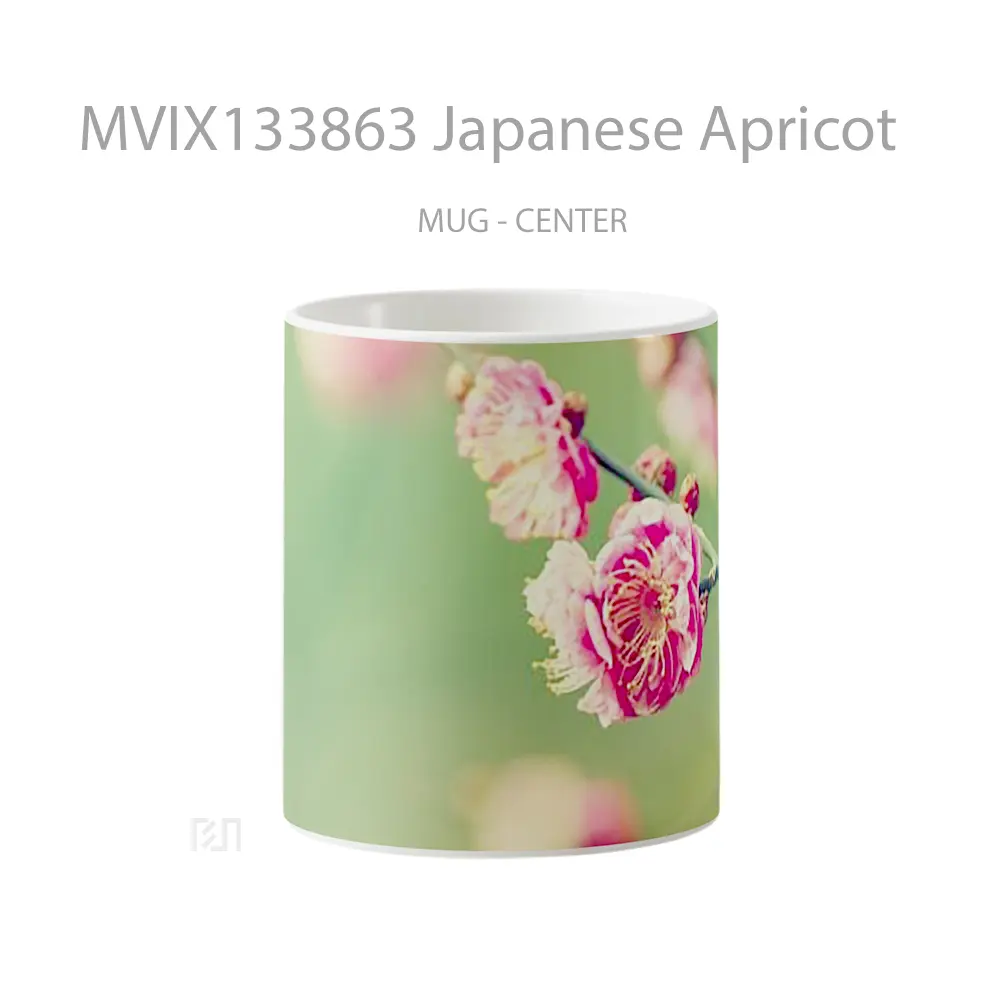 Mug Japanese Apricot Gelas Keramik Unik