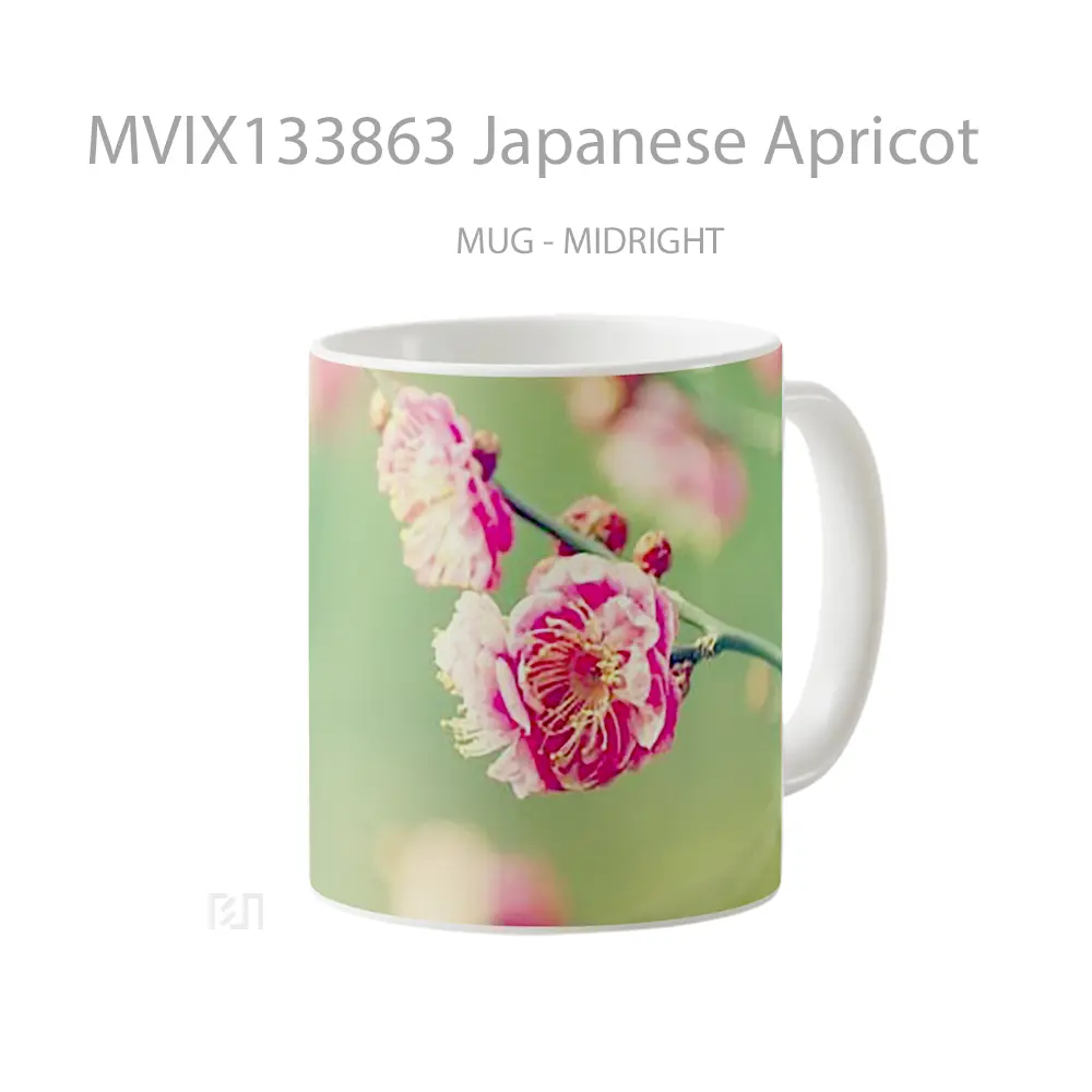 Mug Japanese Apricot Gelas Keramik Unik - All-side / Desain