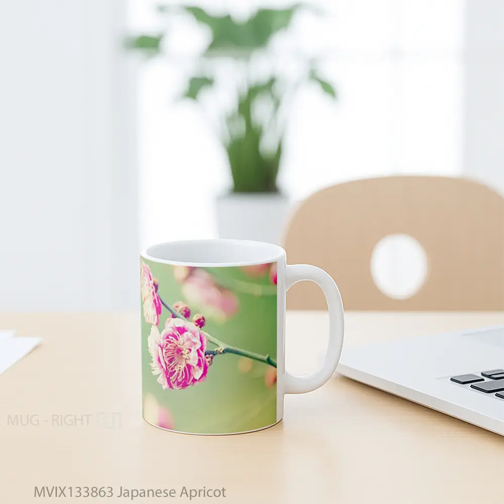 Mug Japanese Apricot Gelas Keramik Unik - All-side / Desain
