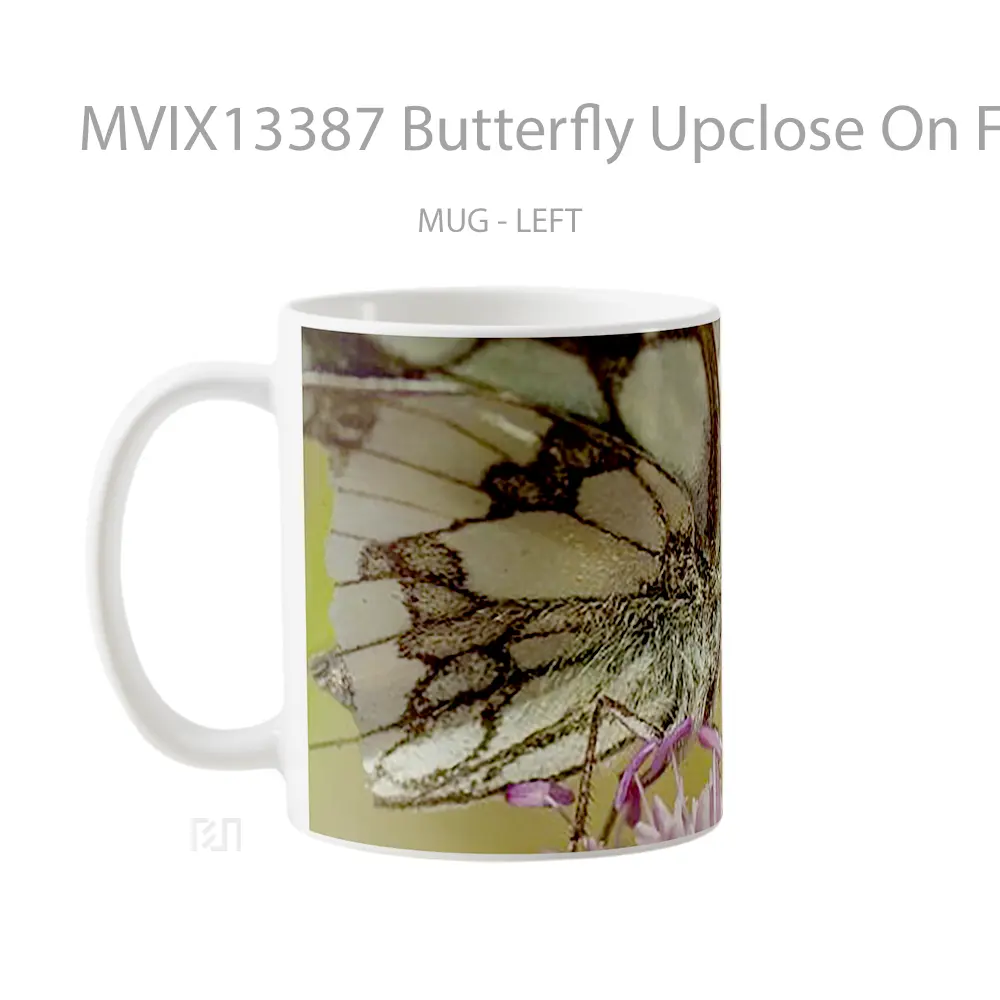 Mug Butterfly Upclose On Flower Gelas Hewan Lucu - All-side / Desain