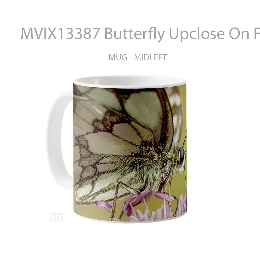 Mug Butterfly Upclose On Flower Gelas Hewan Lucu - All-side / Desain