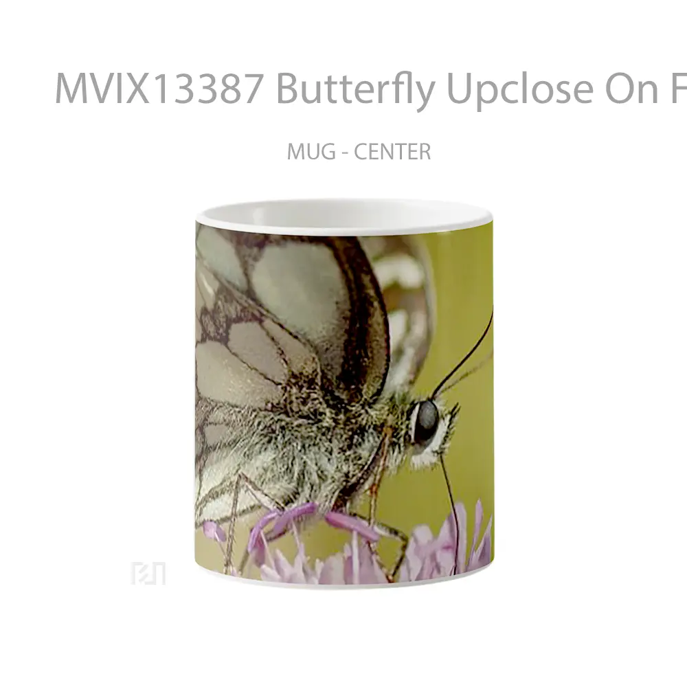 Mug Butterfly Upclose On Flower Gelas Hewan Lucu