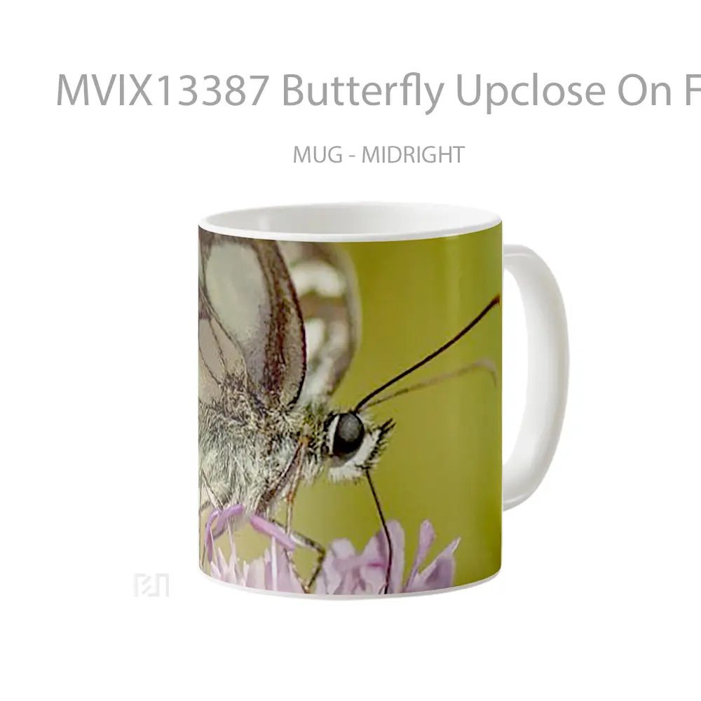 Mug Butterfly Upclose On Flower Gelas Hewan Lucu - All-side / Desain