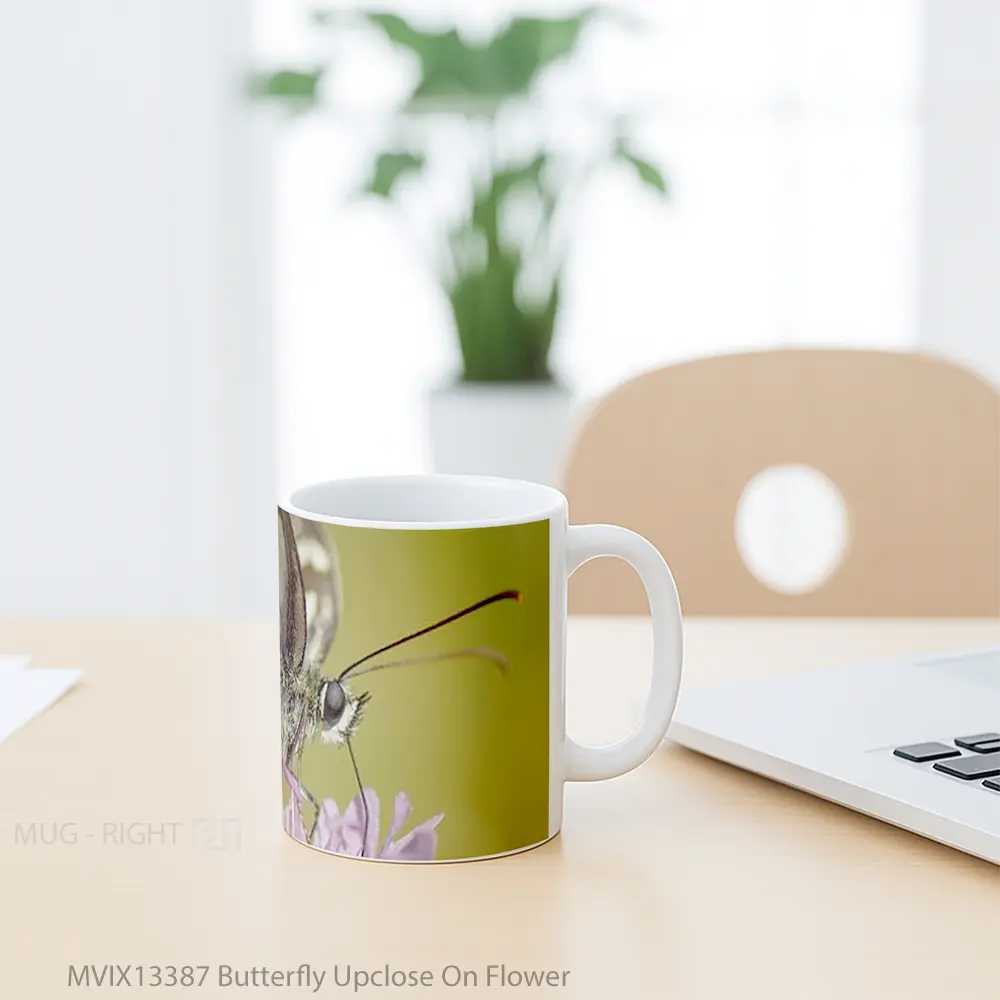 Mug Butterfly Upclose On Flower Gelas Hewan Lucu - All-side / Desain