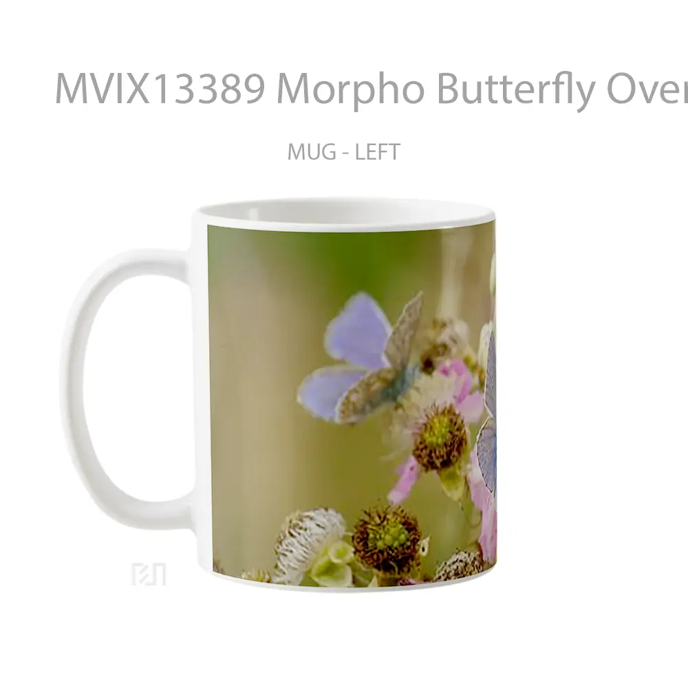 Mug Morpho Butterfly Over Fllowers Gelas Hewan Lucu - All-side / Desain