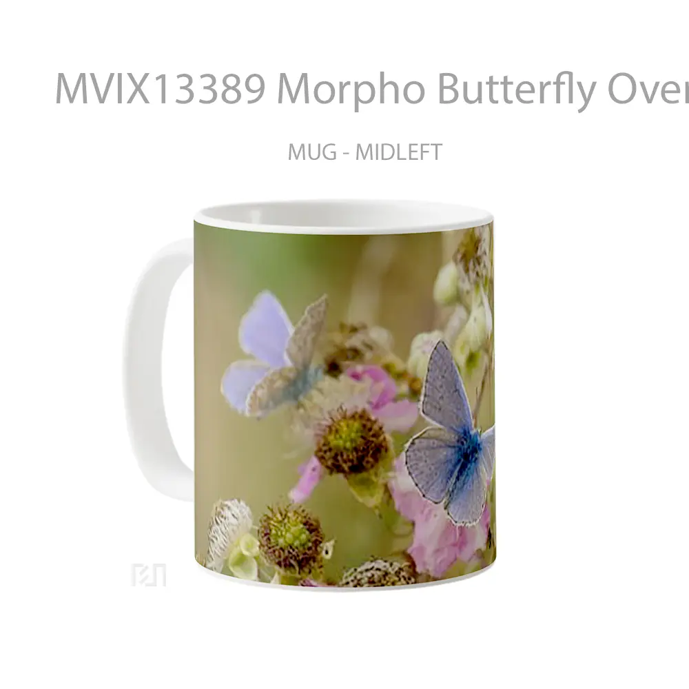 Mug Morpho Butterfly Over Fllowers Gelas Hewan Lucu - All-side / Desain