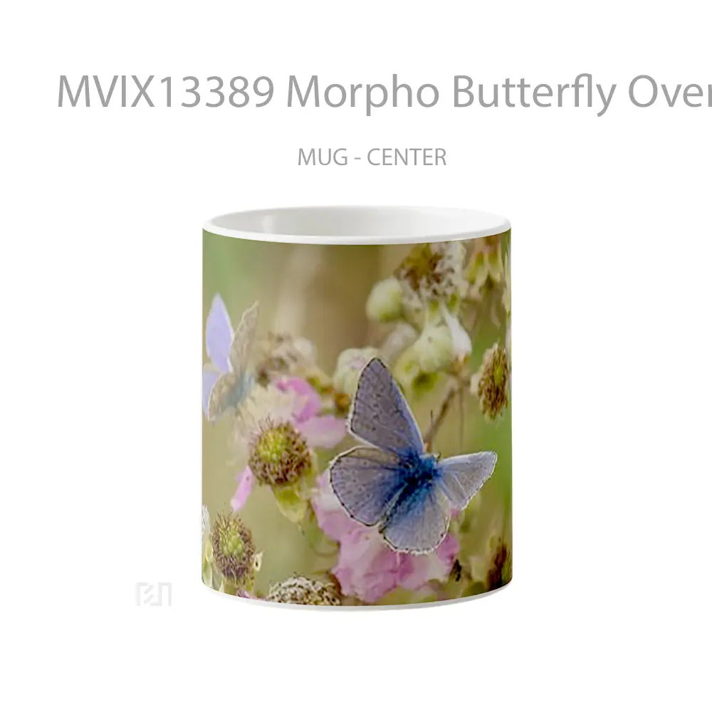 Mug Morpho Butterfly Over Fllowers Gelas Hewan Lucu