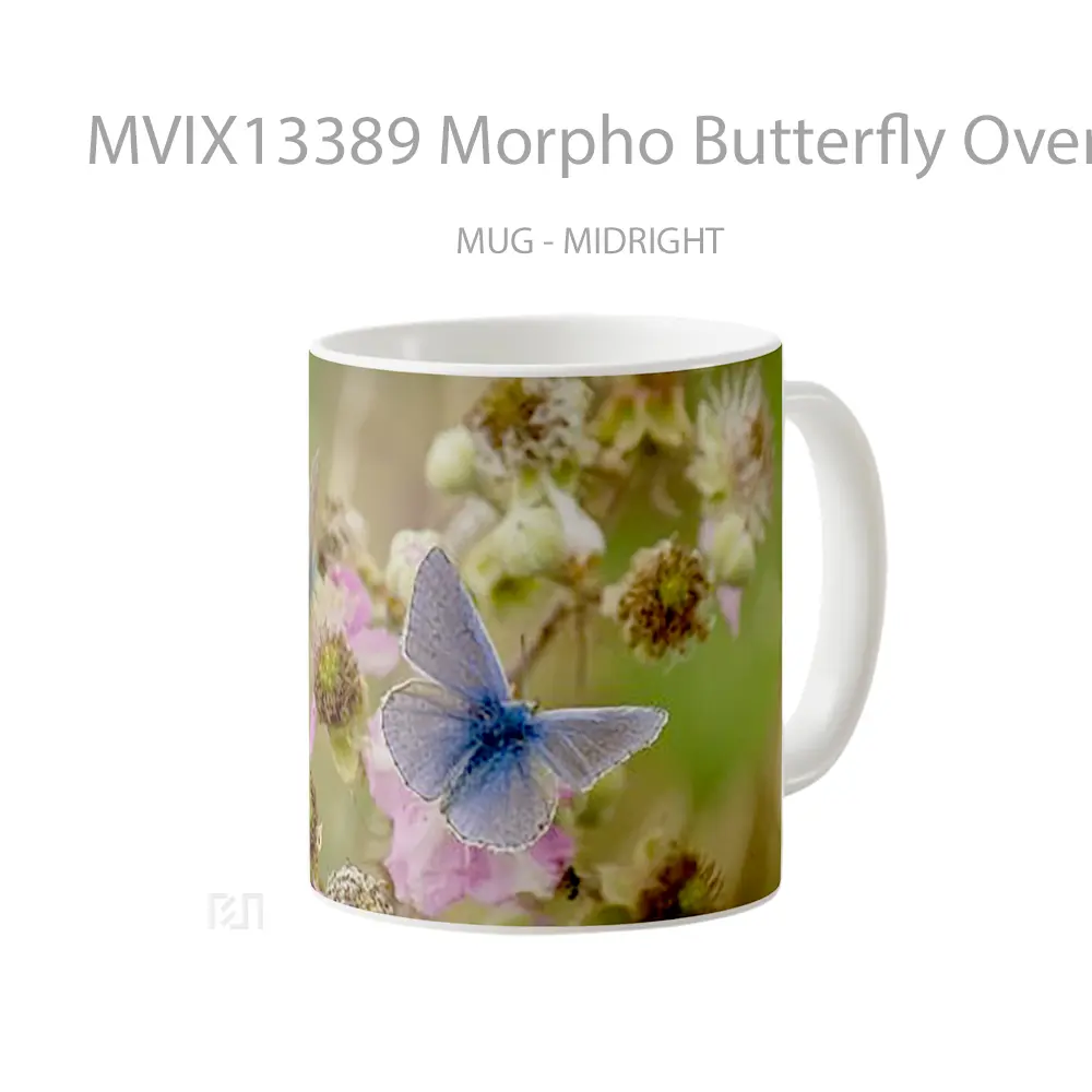 Mug Morpho Butterfly Over Fllowers Gelas Hewan Lucu - All-side / Desain
