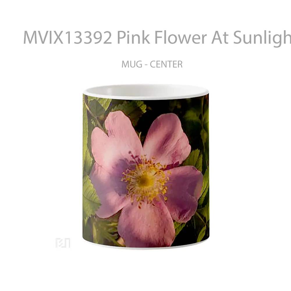 Mug Pink Flower At Sunlight Gelas Pemandangan Alam