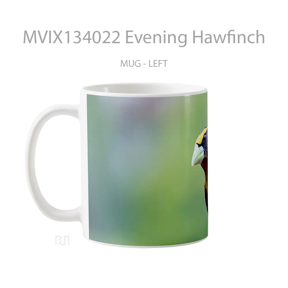 Mug Evening Hawfinch Gelas Keramik Unik - All-side / Desain