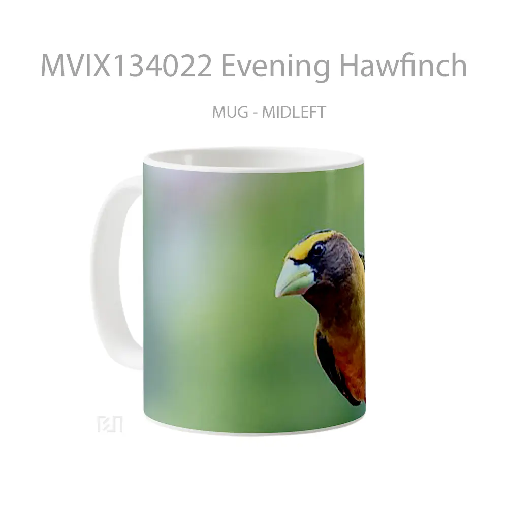 Mug Evening Hawfinch Gelas Keramik Unik - All-side / Desain