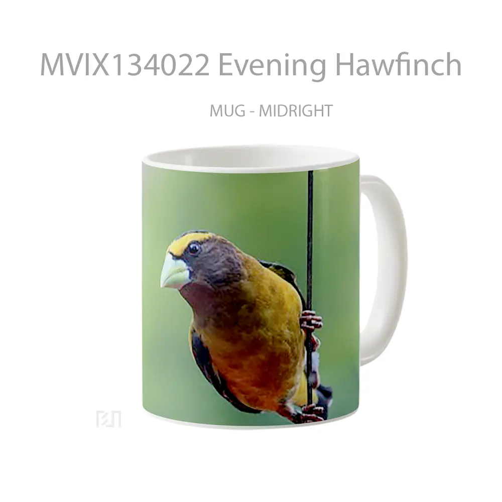 Mug Evening Hawfinch Gelas Keramik Unik - All-side / Desain