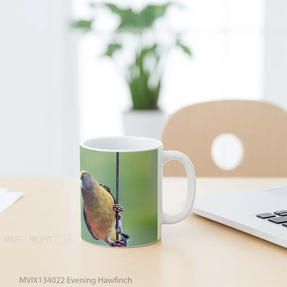 Mug Evening Hawfinch Gelas Keramik Unik - All-side / Desain
