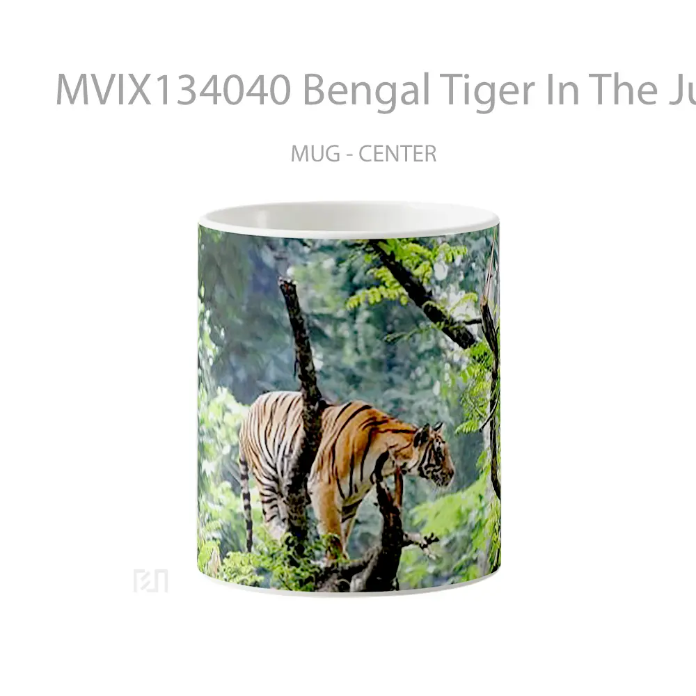 Mug Bengal Tiger In The Jungle Gelas Hewan Lucu