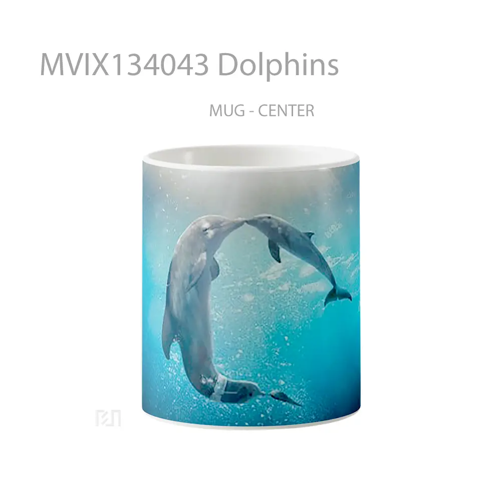 Mug Dolphins Gelas Hewan Lucu