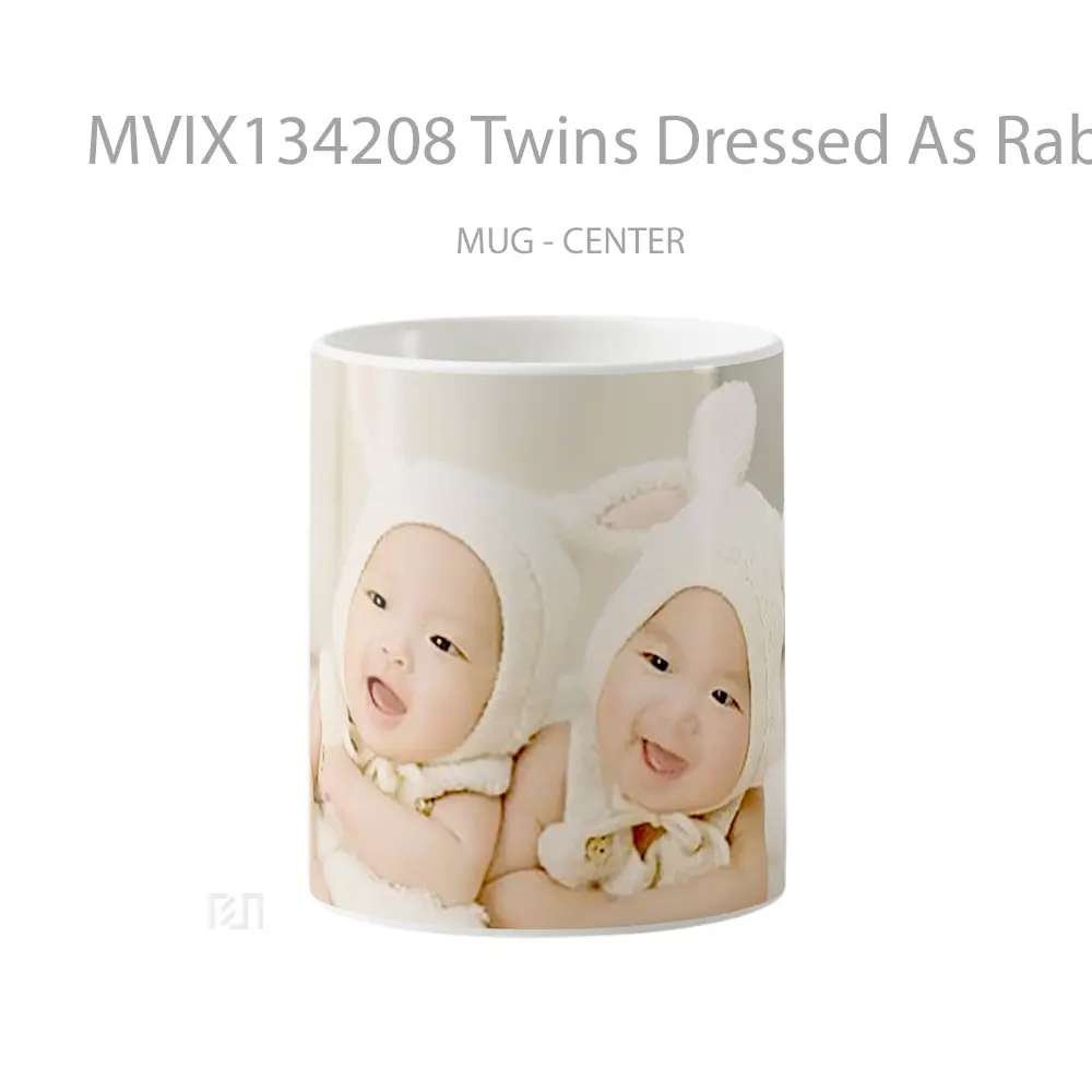 Mug Twins Dressed As Rabbits Gelas Hewan Lucu