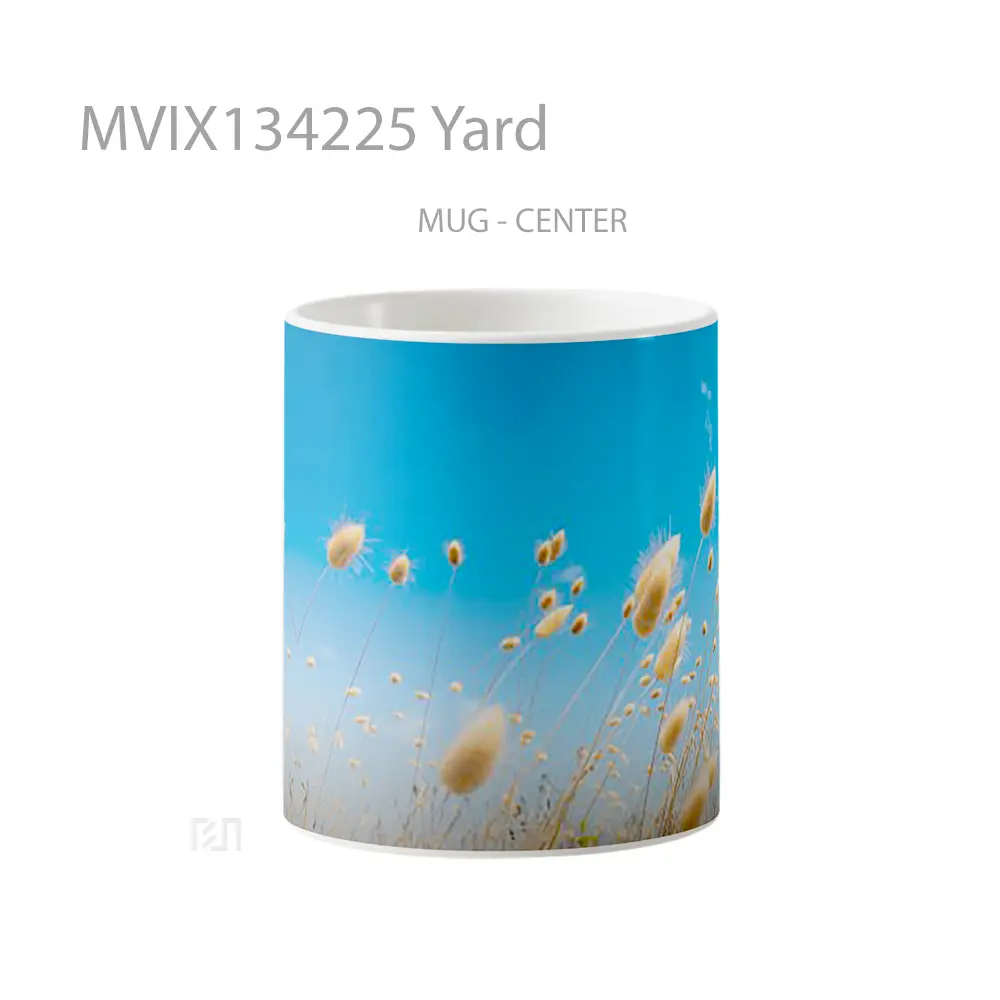 Mug Yard Gelas Keramik Unik