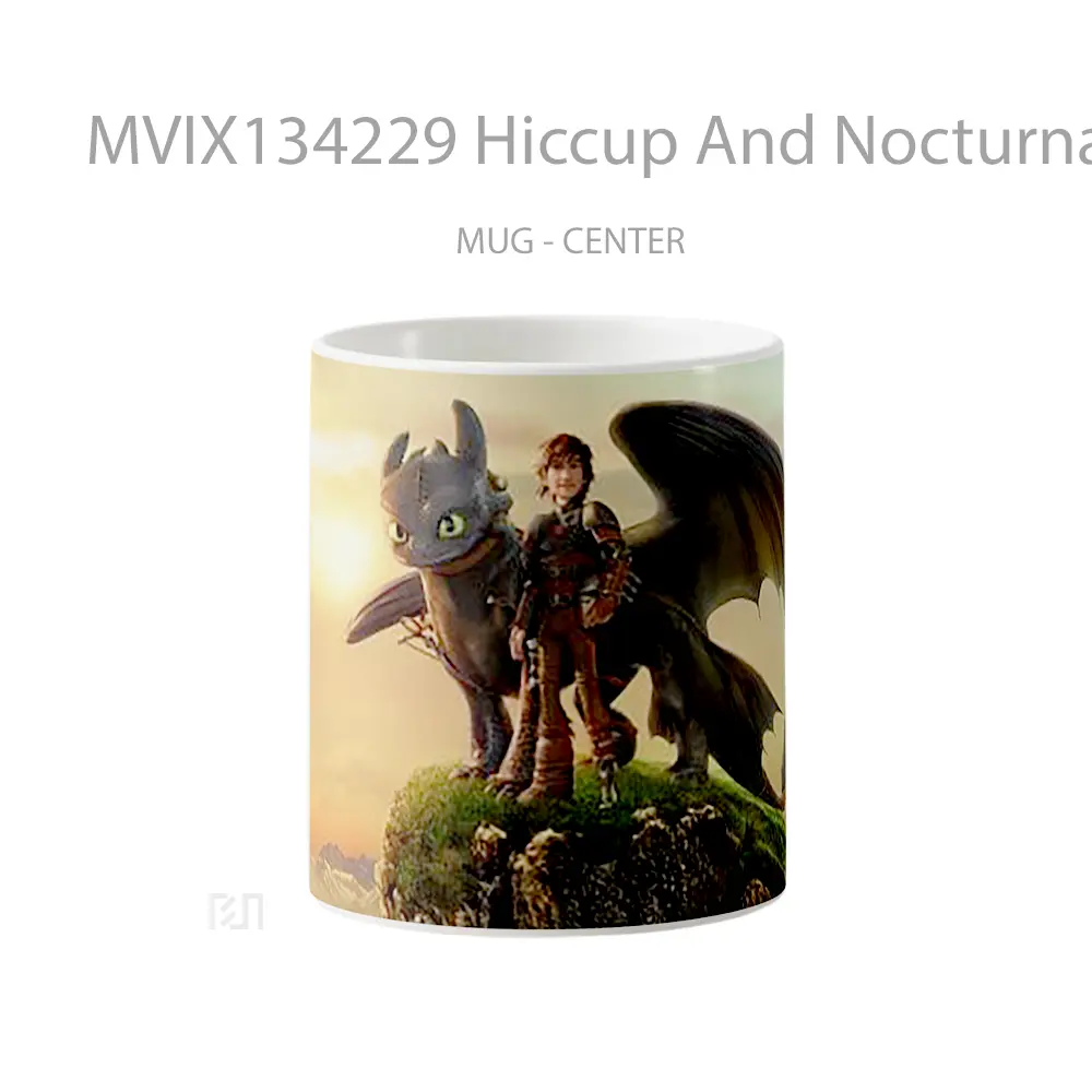 Mug Hiccup And Nocturnal Fury Gelas Keramik Unik