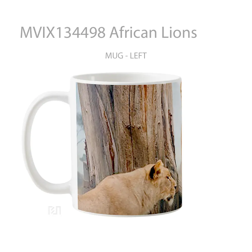 Mug African Lions Gelas Hewan Lucu - All-side / Desain