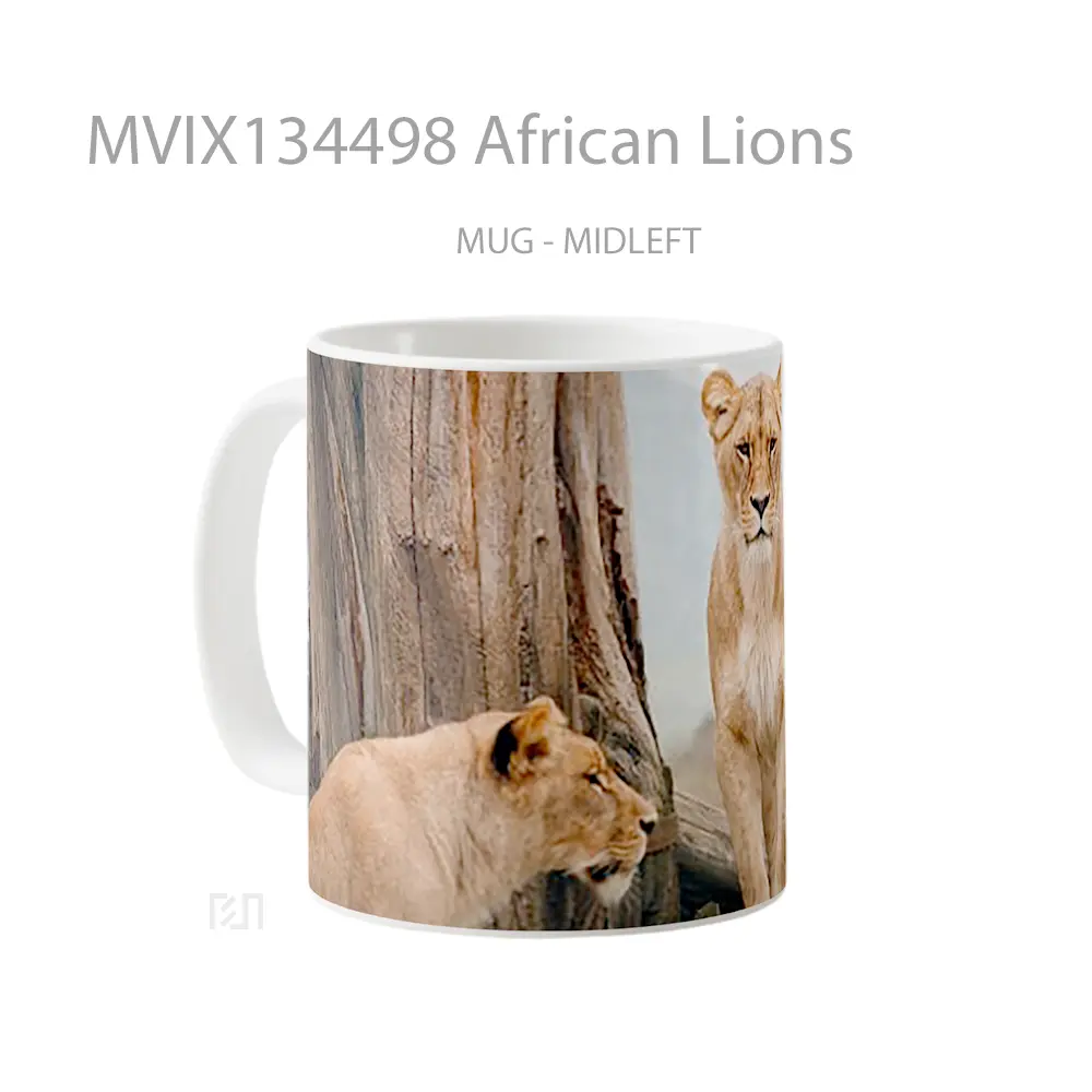 Mug African Lions Gelas Hewan Lucu - All-side / Desain
