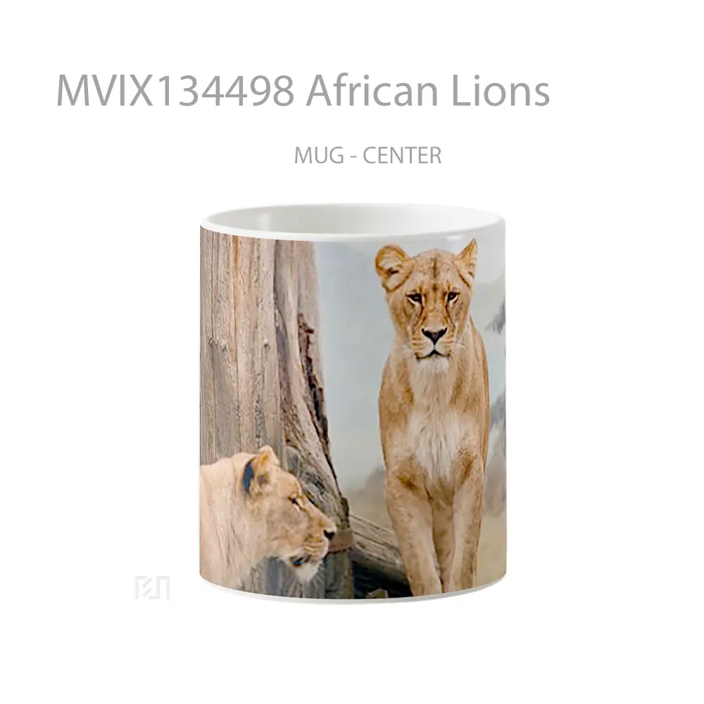 Mug African Lions Gelas Hewan Lucu